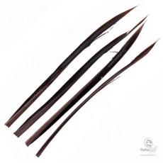 Mahogany Brown