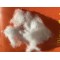 Dubbing di Coniglio White+UV