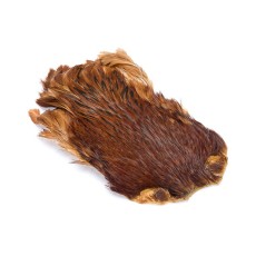 Spalla Di Gallo Economici Dk.Brown Ale & Fly