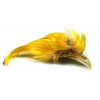 Golden pheasant crest Natural