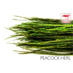 Polish Quill Peacock herl